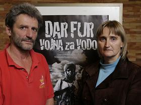 Festival slovenskega filma, FSF