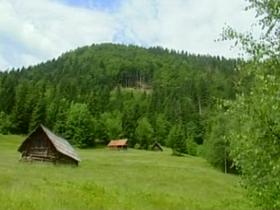 Zemljišča