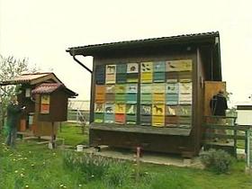 Čebelnjak