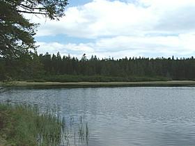 Črno jezero na Pohorju