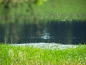 Črno jezero na Pohorju