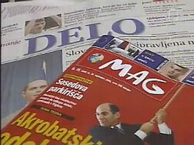 Mag in Delo