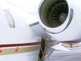 Falcon