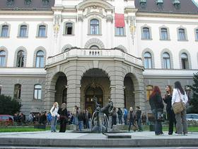Univerza