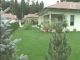 Zbiljski gaj