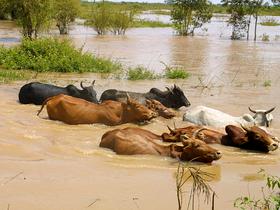 Poplave v Afriki
