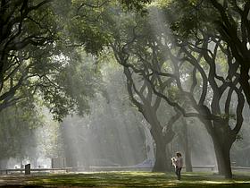 Buenos Aires