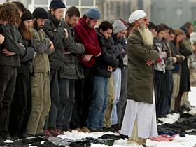 Muslimani v BiH-u