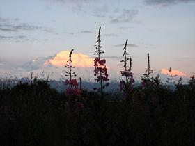 Mount McKinley