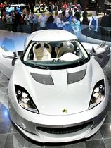 Lotus evora
