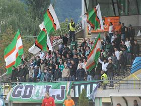 Green Dragons