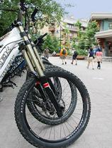 Whistler