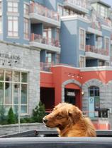 Whistler