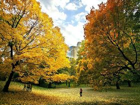 Jesen v New Yorku