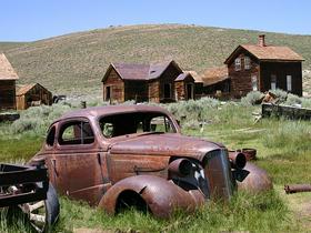 Bodie