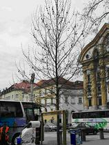 Kongresni trg