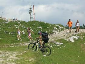 Velika planina