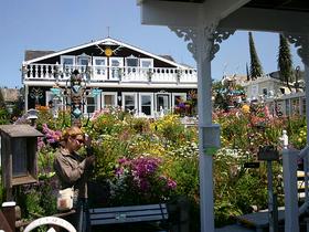 Mendocino