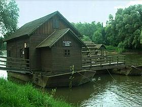 Otok ljubezni na Muri