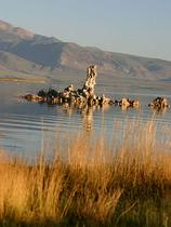 Mono Lake
