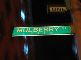 Mulberry street