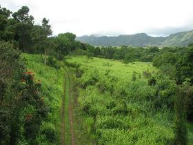 Kauai - 'otok vrtov'