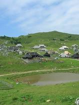 Velika planina
