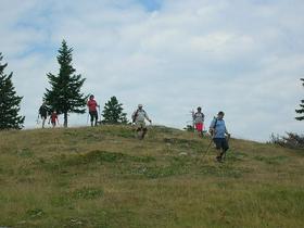 Velika planina