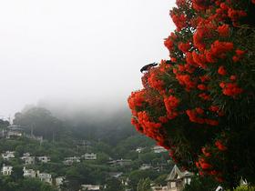 Sausalito