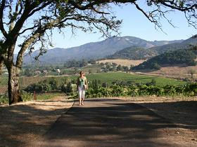 Sonoma Valley