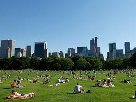 Sheep Meadow
