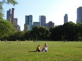 Centralni park