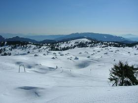 Velika planina