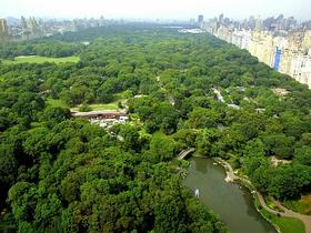 Centralni park