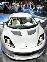 Lotus evora