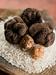 For several years, commercial truffle hunting was prohibited in Slovenia and local restaurants had to import the tubers from Italy or Croatia. Recently, however, authorities concluded that the practice of digging for truffles does not harm the environment, and they legalized the practice. Today, some 30 truffle hunters are active in Slovenia. Foto: MMC RTV SLO