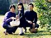 Po dolgoletni tradiciji lahko na Japonskem cesarska oblast prehaja le med moškimi potomci, zato je bila do lanskega septembra cesarska rodbina zelo na trnih. Foto: EPA