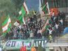 Green Dragons