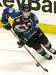Joe Sakic