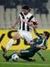 Vincenzo Iaquinta