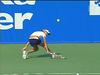 Polona Hercog
