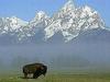 Grand Teton