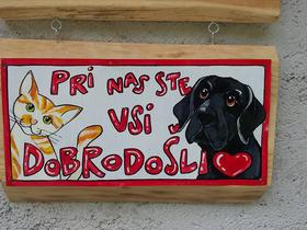 Poletje s štirinožnim prijateljem - tam, kjer so psi dobrodošli