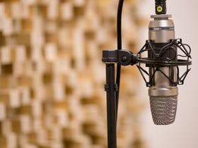 Ko muze ne obmolknejo: kulturno-umetniški radio v 21. stoletju