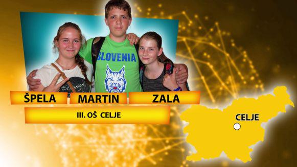 Male Sive Celice Iii Os Celje