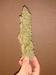 Marihuana
