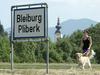 Avstrijska Koroška, dvojezični napisi, Pliberk, Bleiburg, slovenska manjšina, table