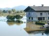 Vodna gladina na Ljubljanskem barju je še naraščala in tako bo, dokler Ljubljanica ne bo znatno upadla. Foto: MMC RTV SLO/Gašper Petovar