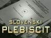 Plebiscit