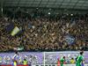 Viole